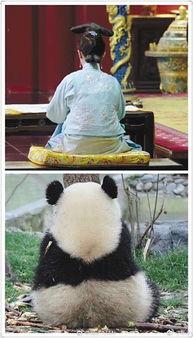 吃瓜群众争观娱乐圈